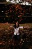 Leaves and the fall